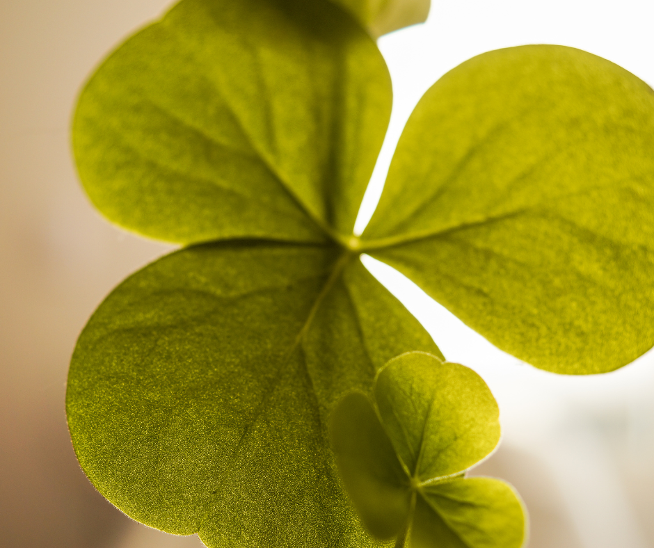 De 3 Principper: Livskraft, bevidsthed og tanke